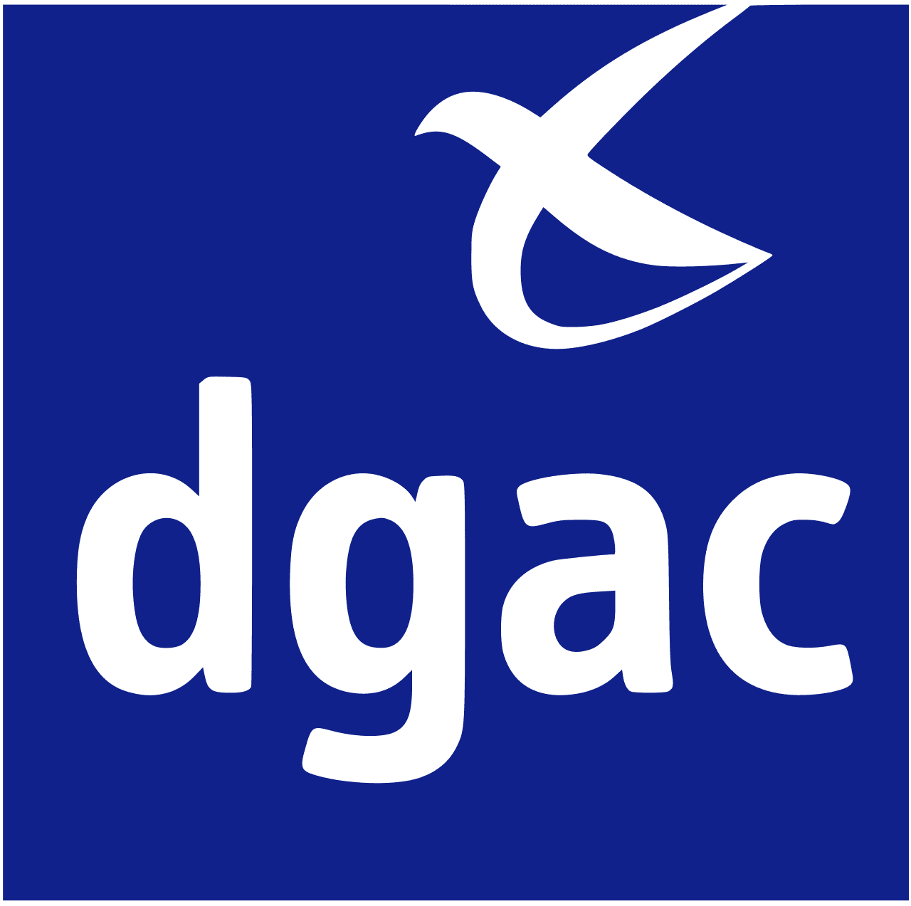 Conforme DGAC